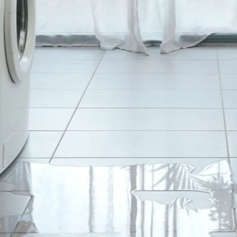 Appliance Leak Cleanup in Plano, IL
