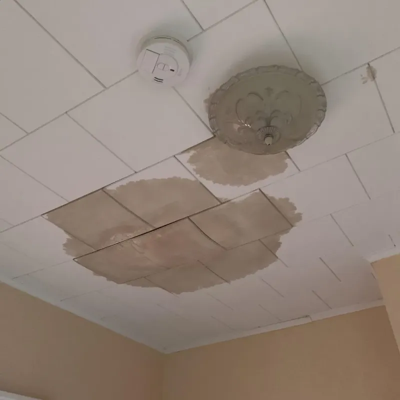 Ceiling Water Damage Repair in Plano, IL