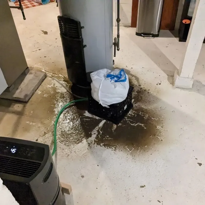 Sewage Backup Cleanup Service in Plano, IL